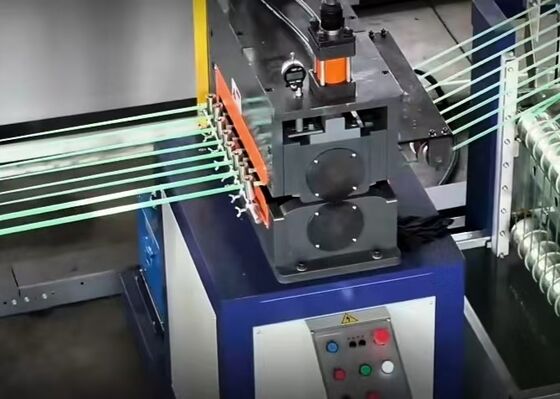 Linea di produzione di cinture per animali sostenibili e efficienti dal punto di vista energetico