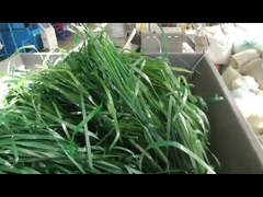 Trinciatrici a filo singolo per materiali molli